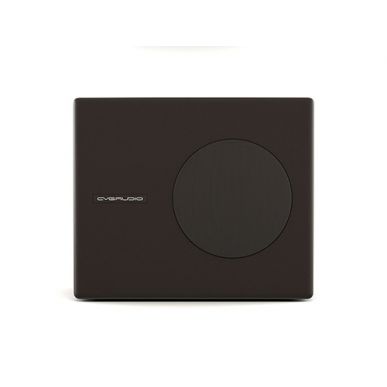 Настенный сабвуфер CVGAUDIO SUBone model A-6BL/Active